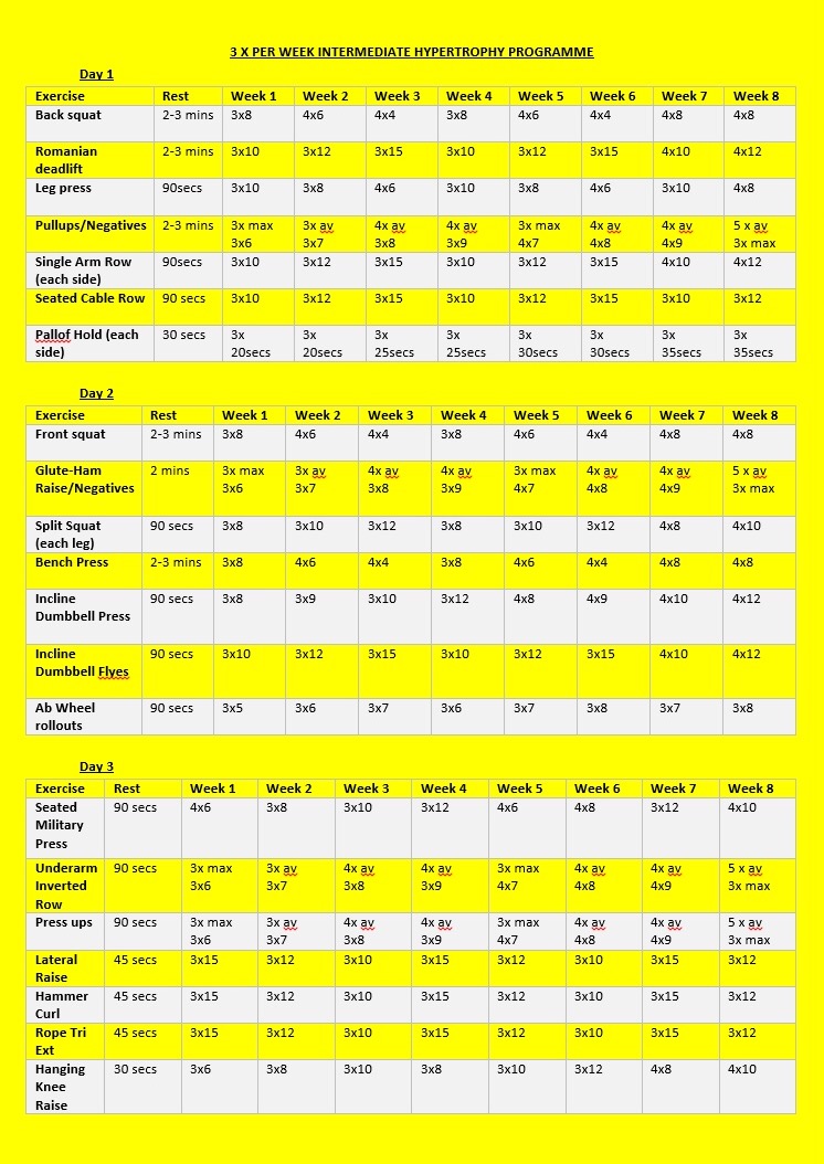 3 x Per Week Intermediate Hypertrophy Programme Fit Performance